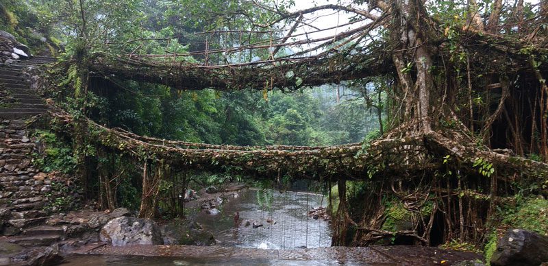 double decker root bridge at Nongriat