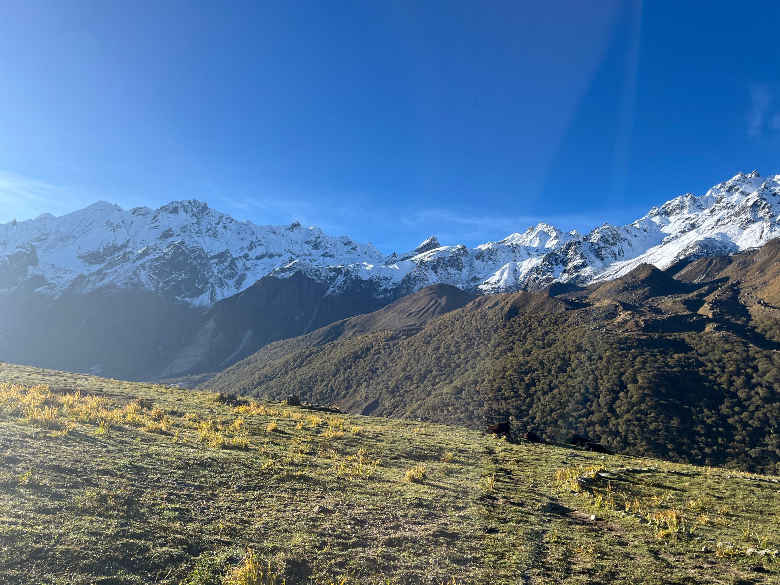 1a688b1b-74cb-4e29-80bd-24d06b9f6125-scaled