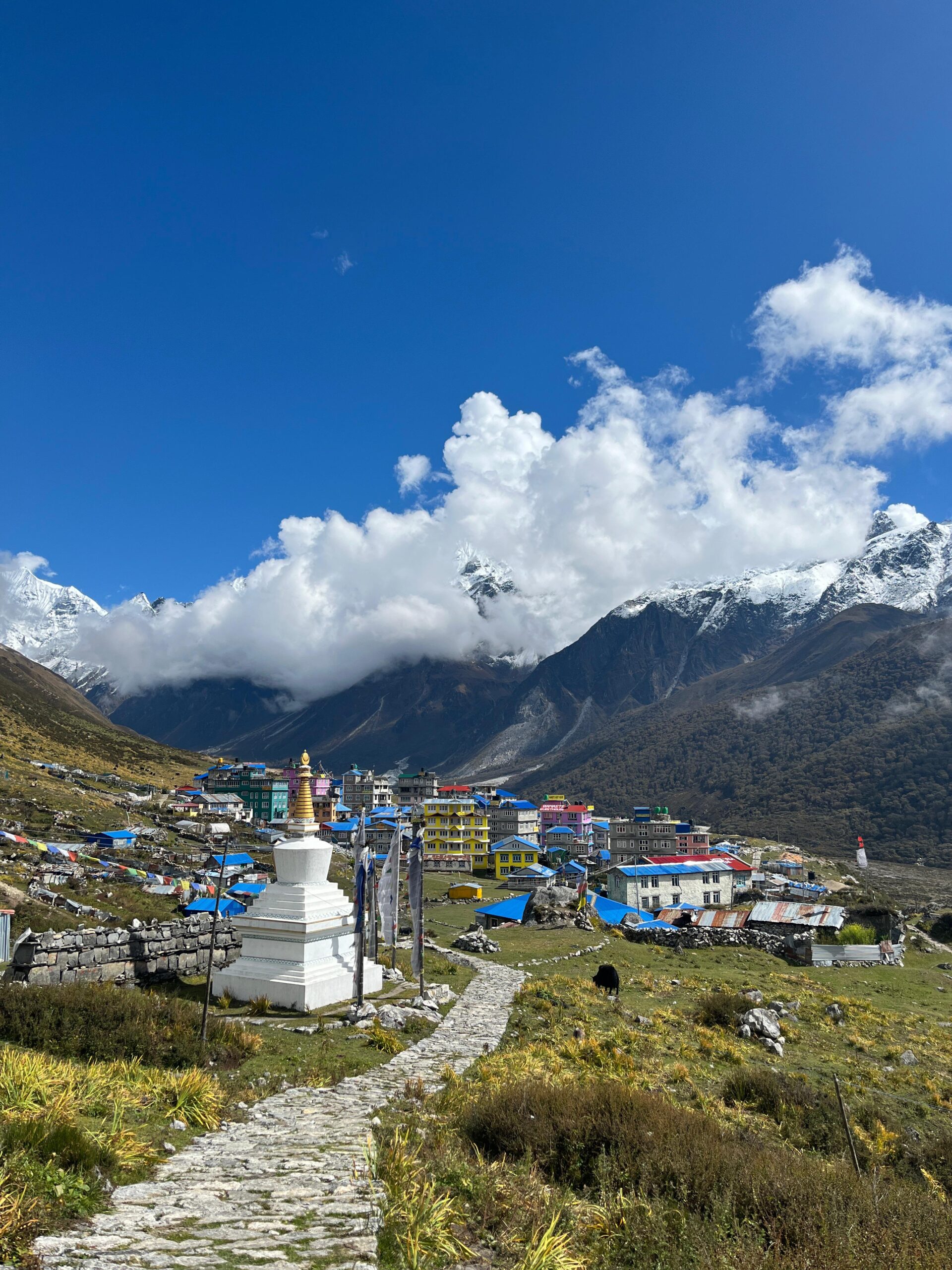 3fcd3ff9-ffd6-4944-b85c-90a05081a481-scaled