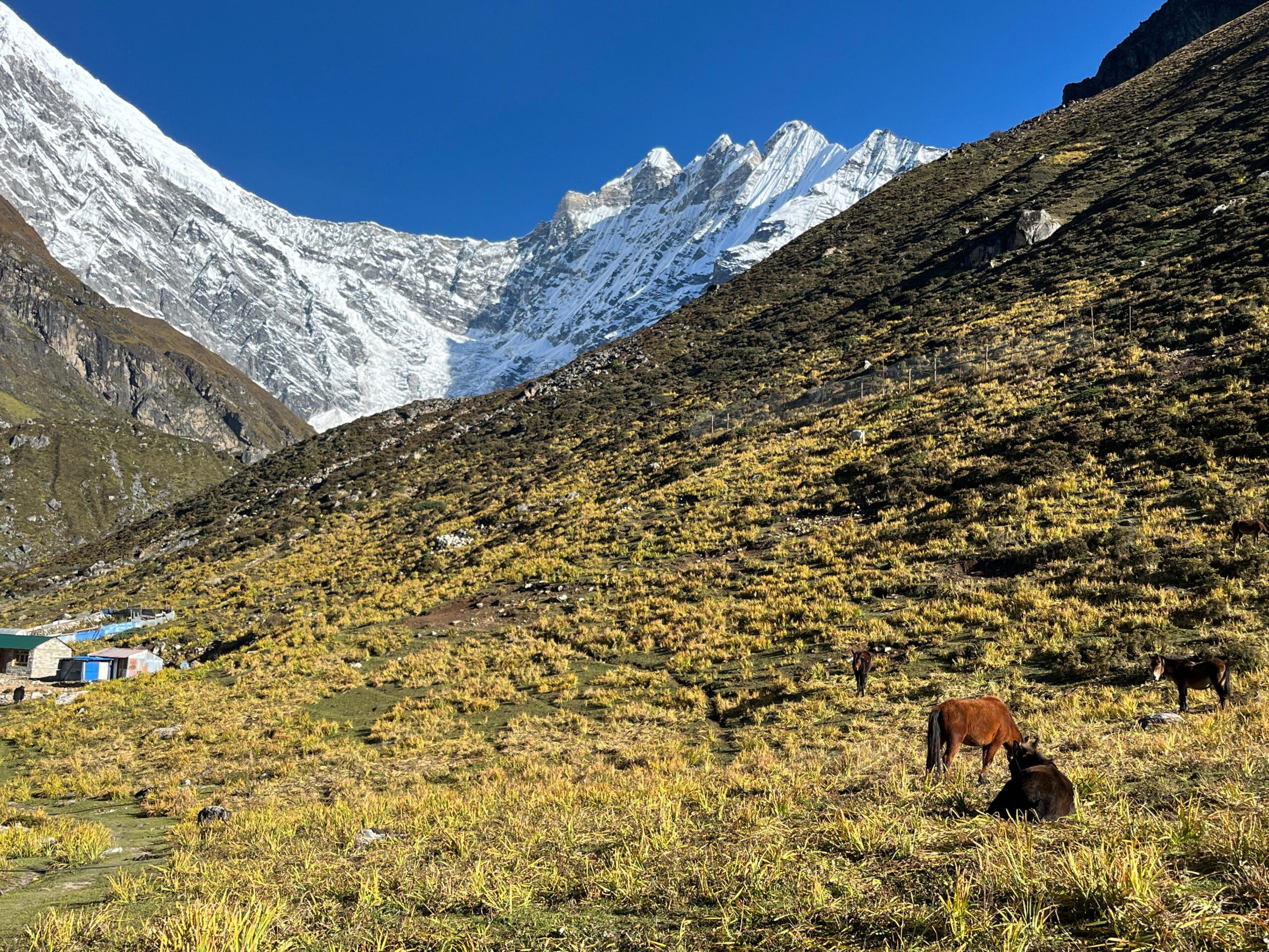 937f39a0-fad7-40fc-b666-687a9d70eae9-scaled