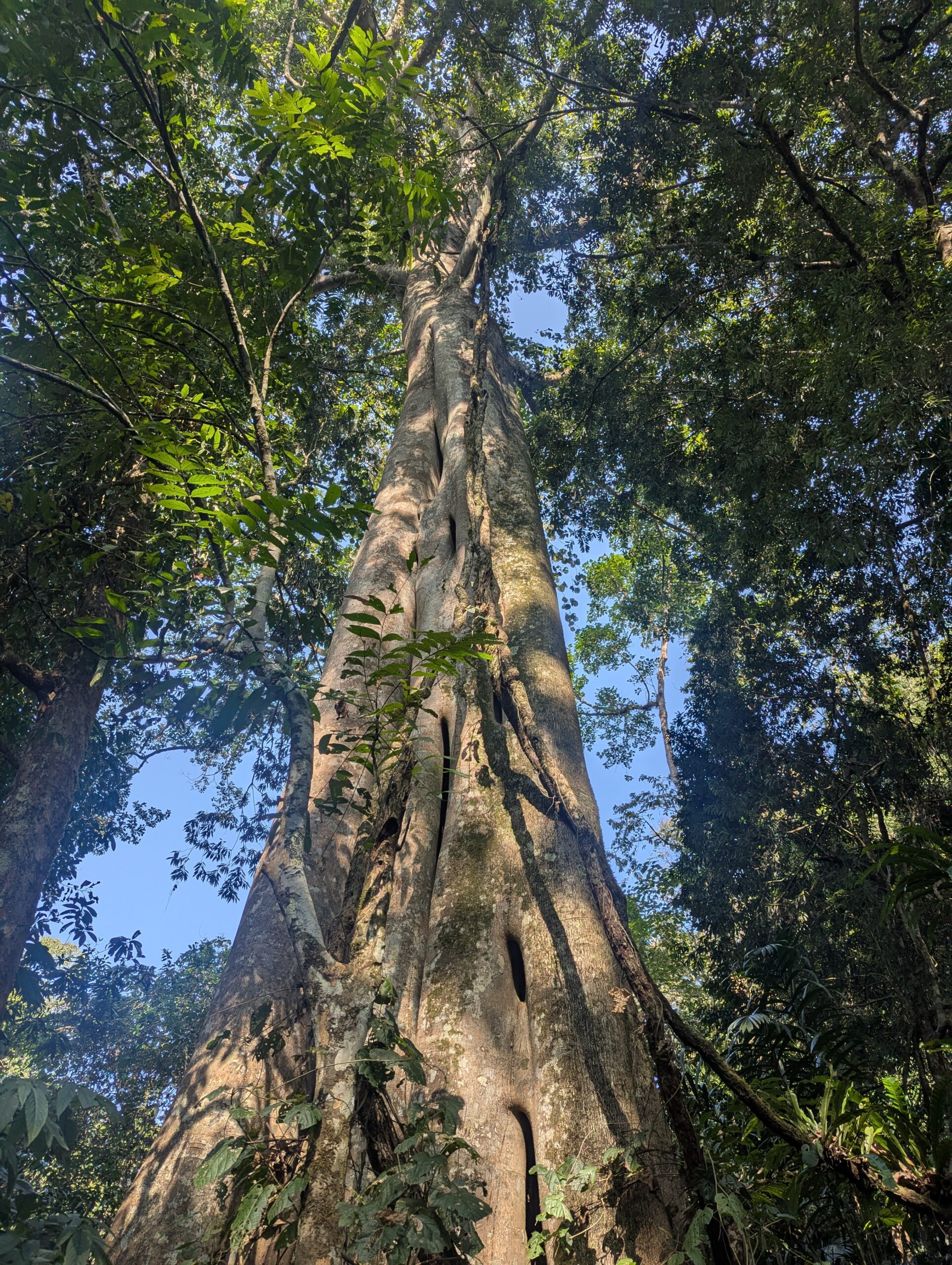 PXL_20250209_0716309091-scaled