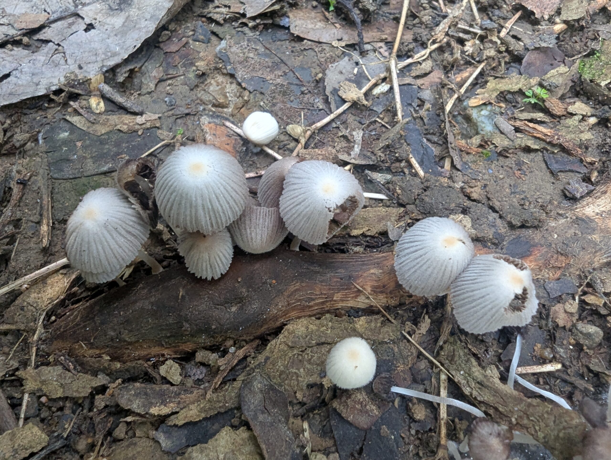 PXL_20250209_073905620-scaled