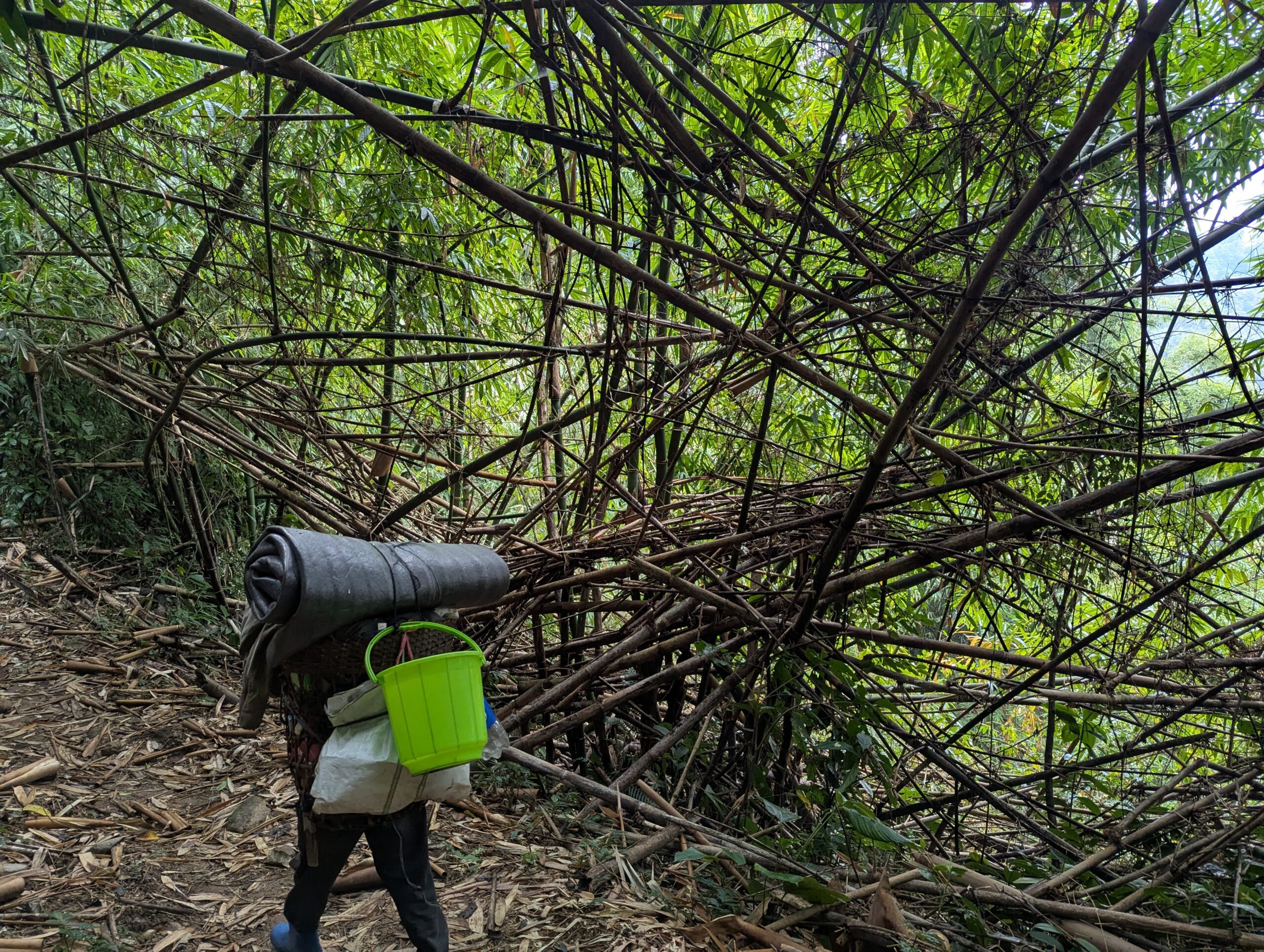 PXL_20250210_0334203071-scaled