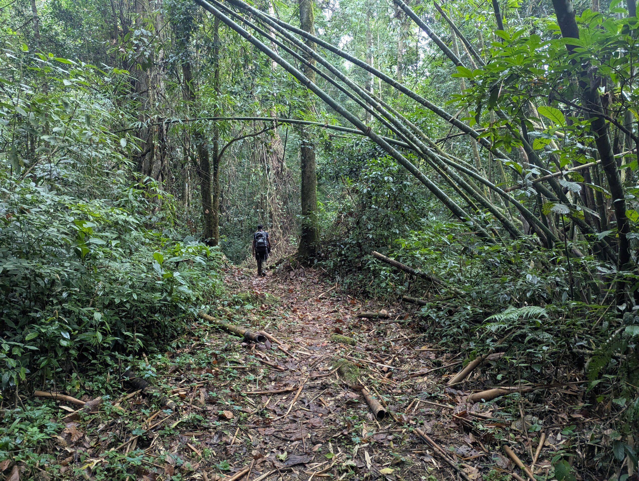 PXL_20250210_040357327.MP_-scaled