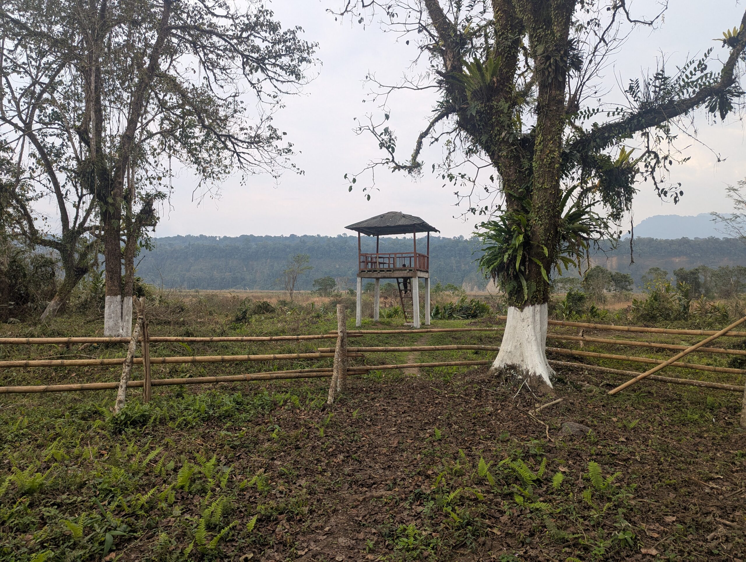 PXL_20250210_063817622.MP_-scaled