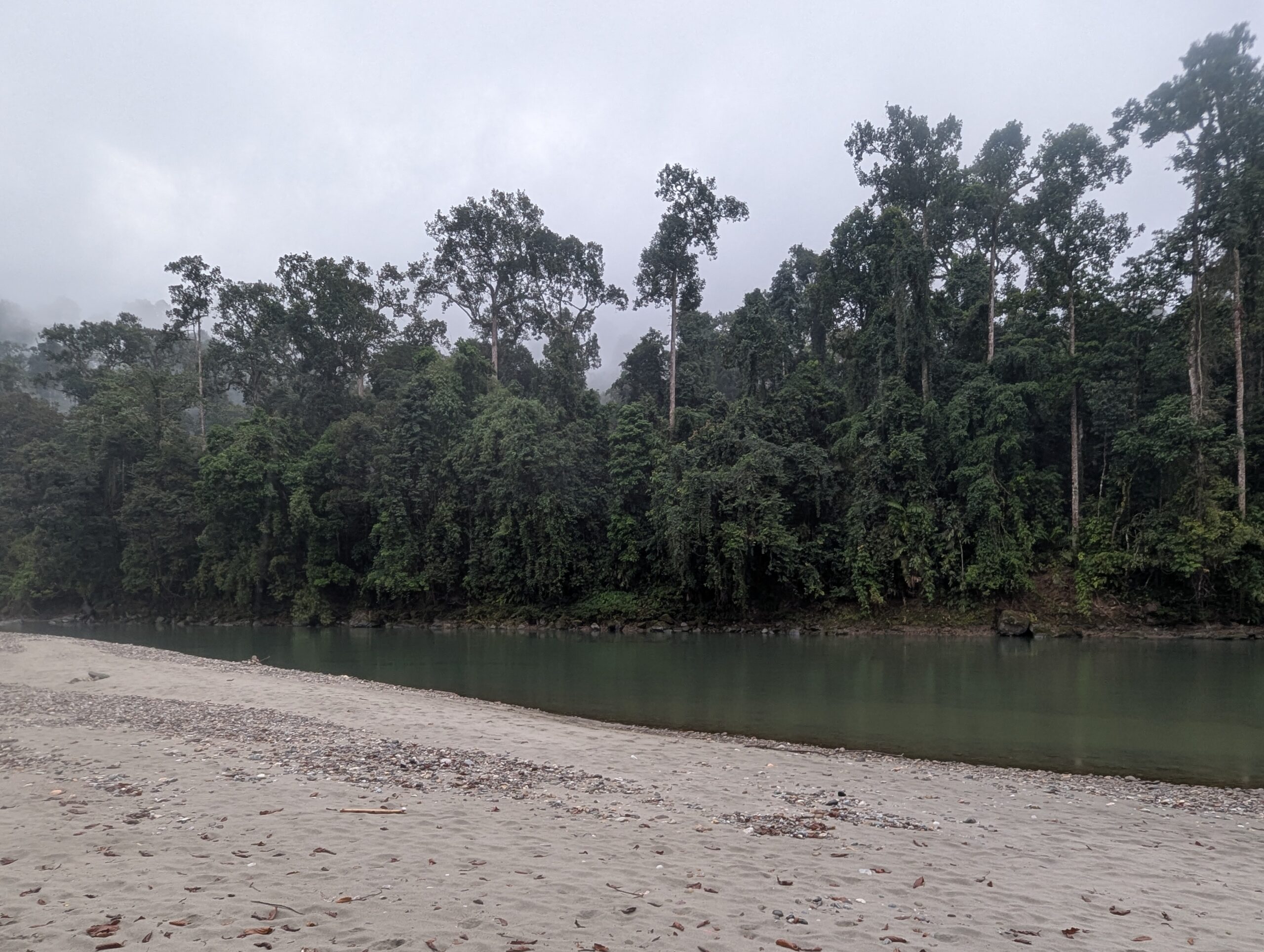 PXL_20250211_032549688.MP_-scaled