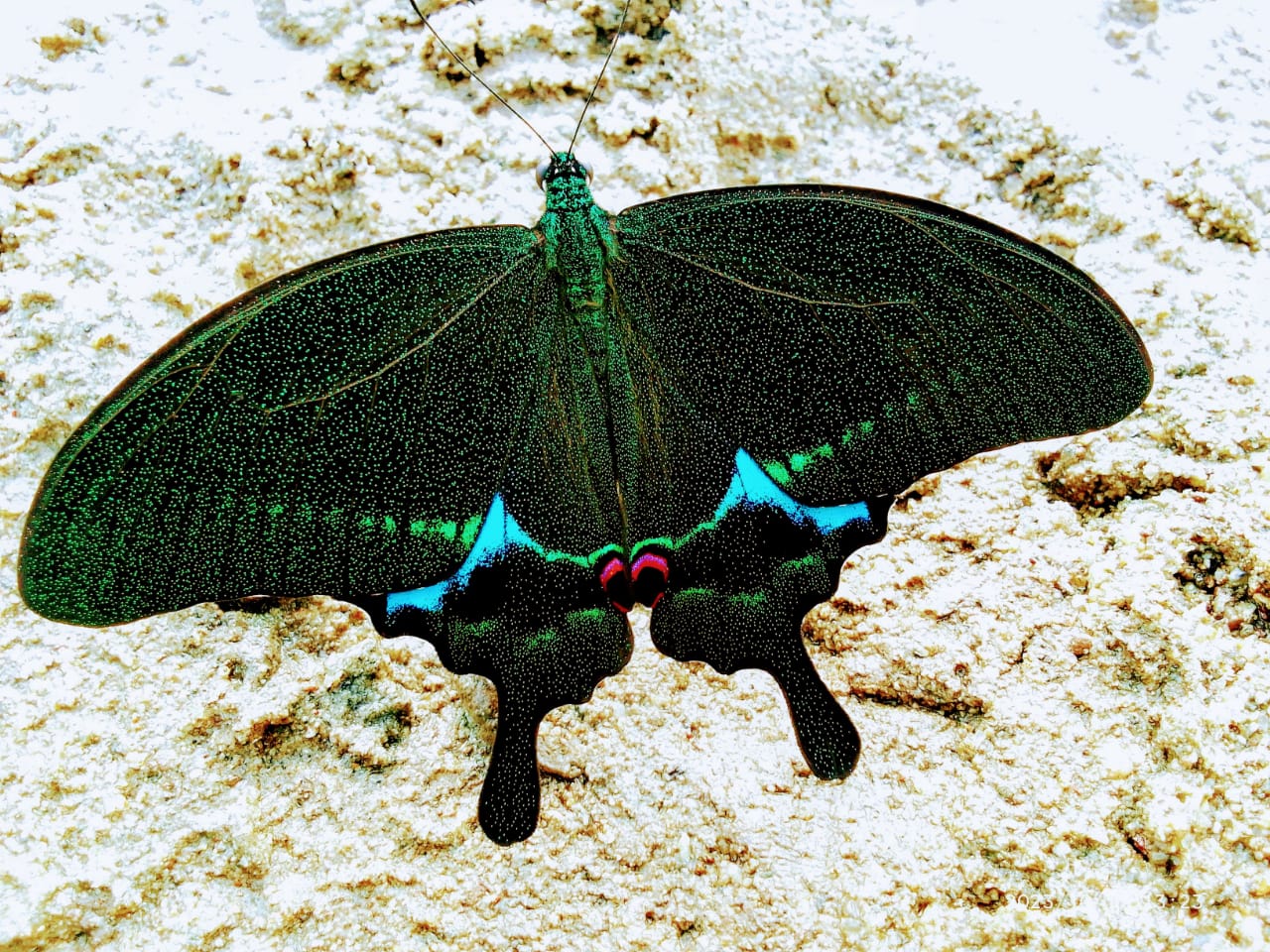 WhatsApp-Image-2025-02-27-at-11.20.44-1