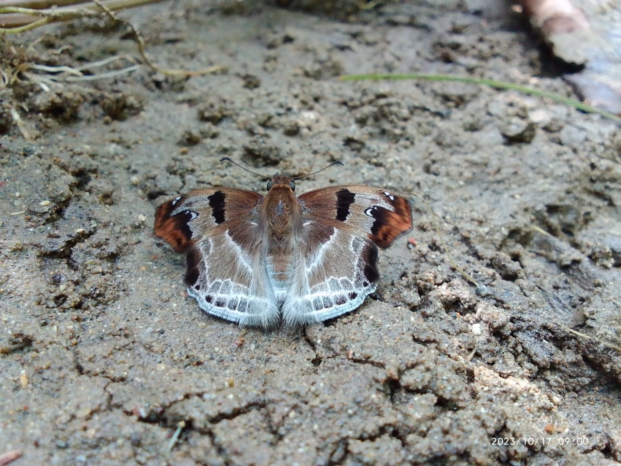 WhatsApp-Image-2025-02-27-at-11.20.53