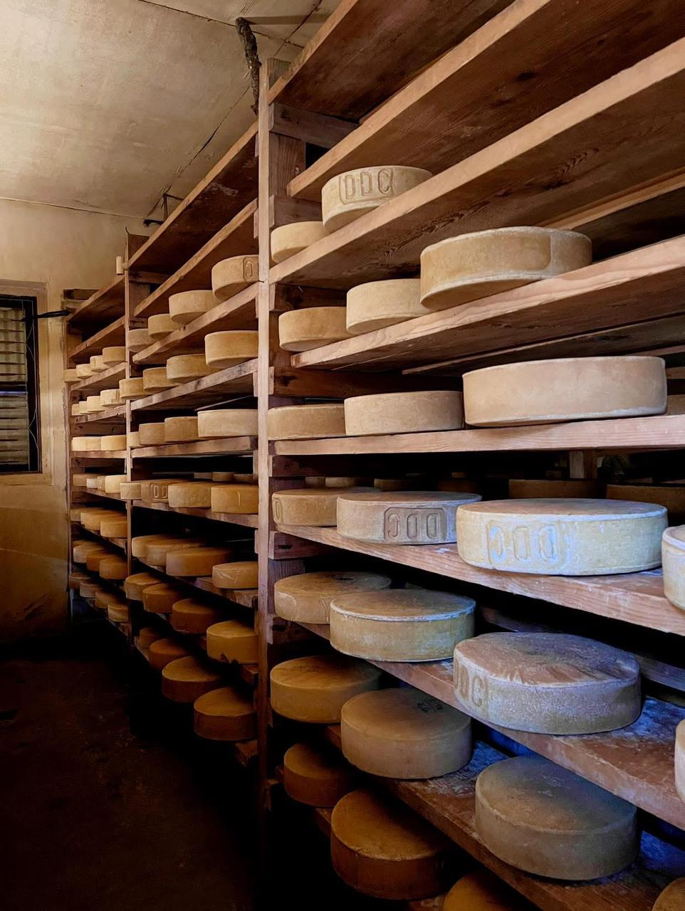 WhatsApp-Image-2025-06-16-at-19.51.58