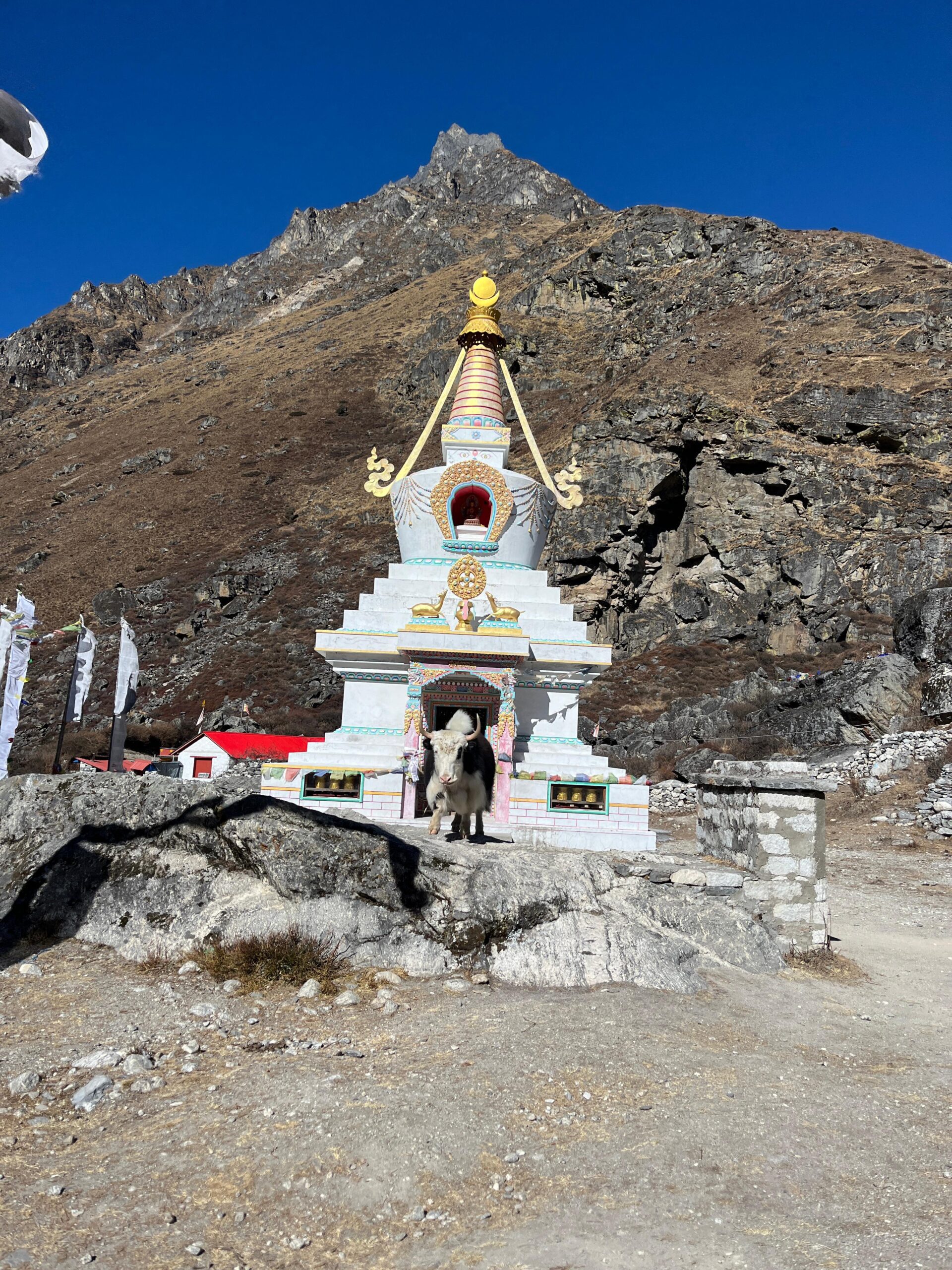 d3bf36cd-21d6-457c-b51b-a5ca5fe9e694-scaled