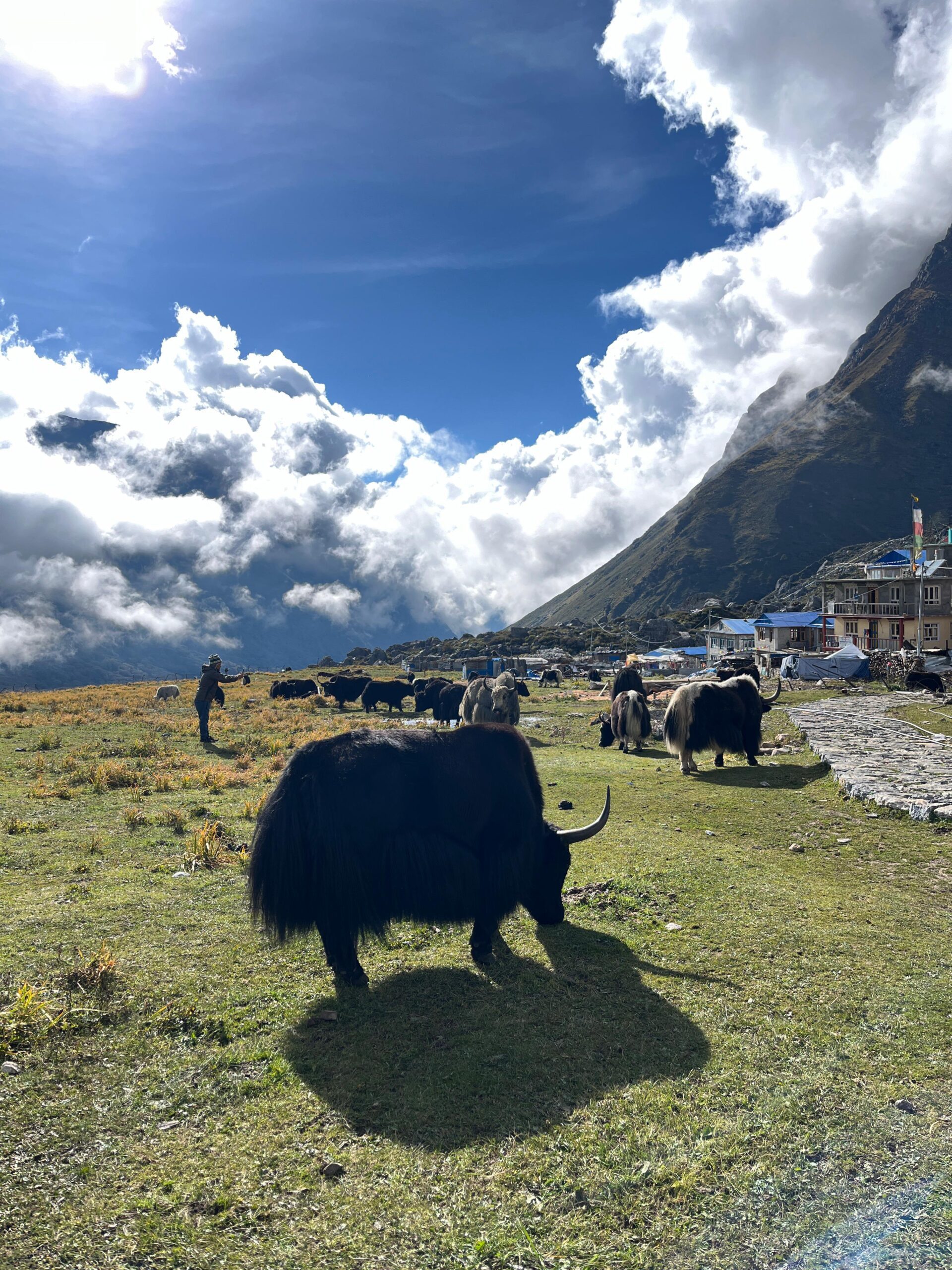 f039a94c-63a0-4717-a51c-43b0535fa18a-1-scaled