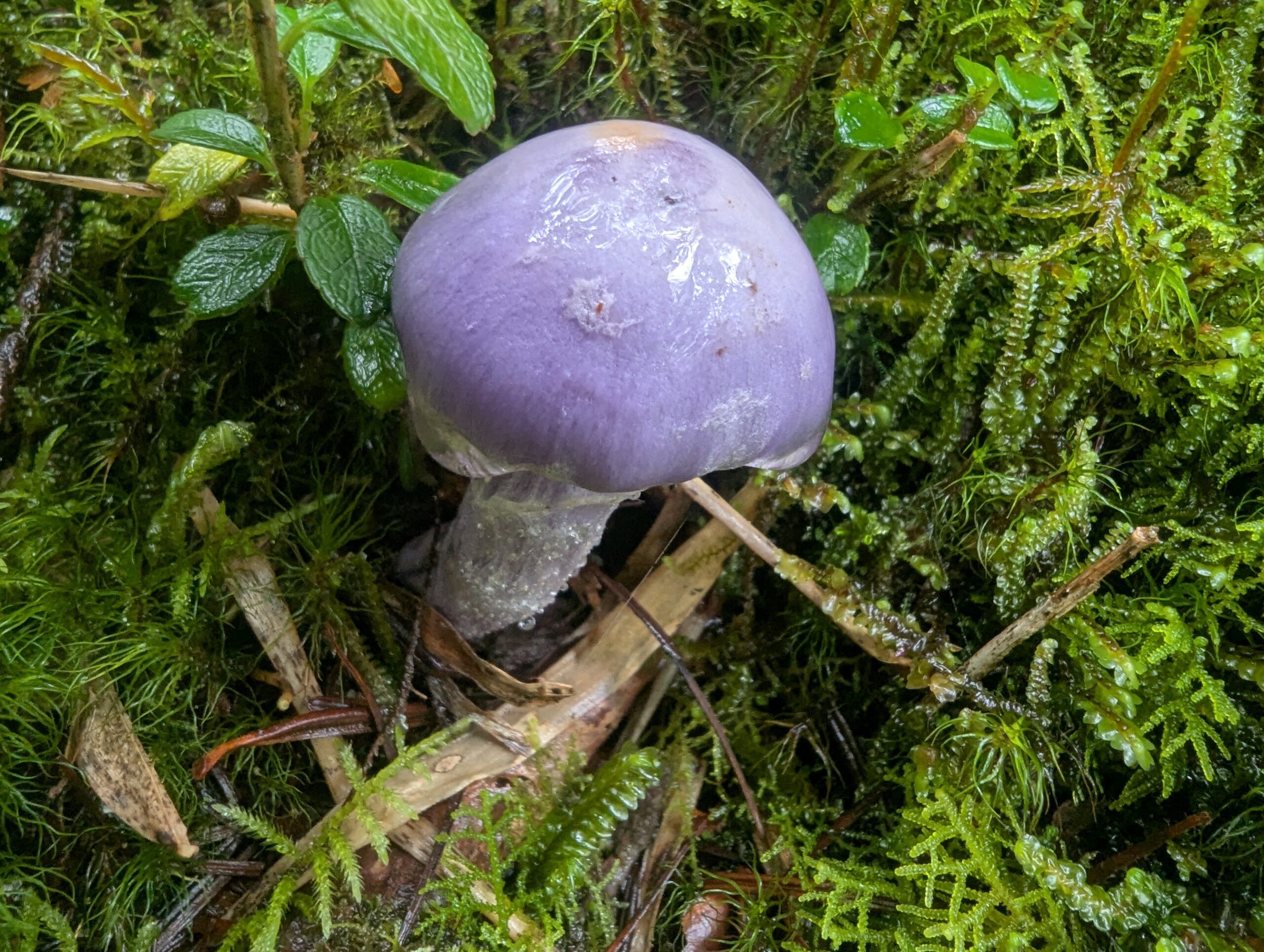 PXL_20250829_064139309-scaled