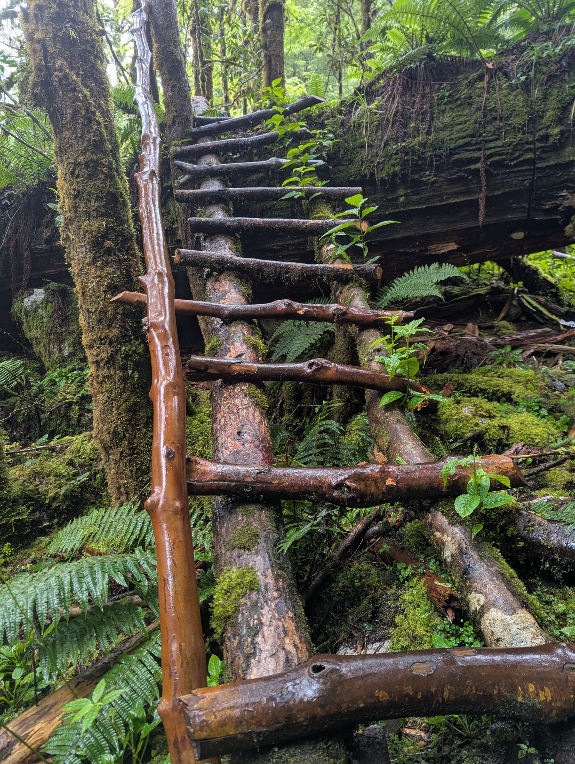 PXL_20250901_063829617-scaled